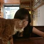 别踩我猪儿头像