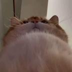 玉衡头像