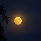 他夏了夏天头像