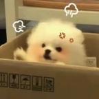 藏宝图与冰美式头像