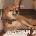 已摆烂头像
