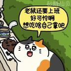 988.wtt头像