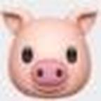🐷头像