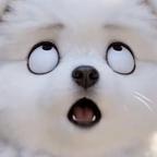 随性头像