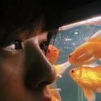 自由不掺假—头像