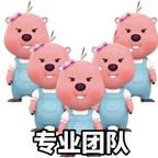 昕阳文化头像