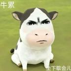 富婆头像