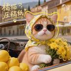 橘猫压稿纸头像