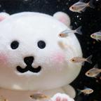 一只小biubiu头像