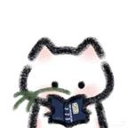 荷雾🐾头像
