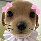 豆汁儿头像