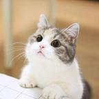 源源★头像