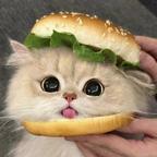 倘若那个夏天头像