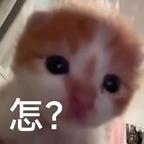 绿果头像