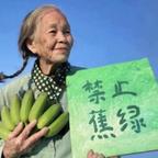 我以为我是路人甲头像