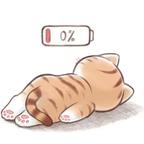 沐沐MOVE头像