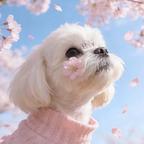 金枝玉兔头像