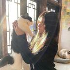 狐狸🦊头像