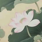 夏莲头像