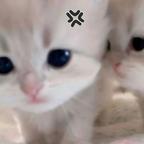 jio音.头像