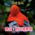 🍎🌸💃头像