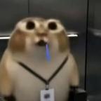 哭也不停头像