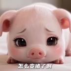你猜头像