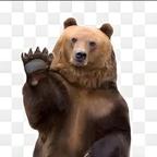 🐻熊老三2926头像