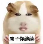 骂女主的衣架子都湿了头像