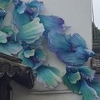78烟火头像