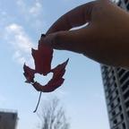 微微头像
