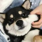 元小宁头像