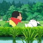 小新野原头像