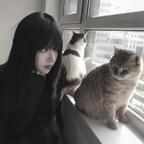 .头像