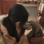 孟安安头像
