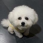 爱吃肉的棒男孩头像