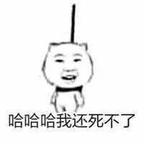 清欢头像