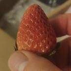 风定云淡头像