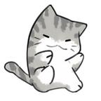 明明逃窜头像