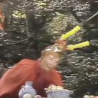 WOW🐰头像