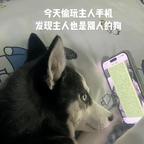 顾家傲娇阿凡头像