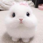 零头像