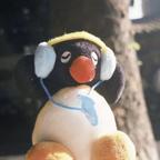 程夷头像