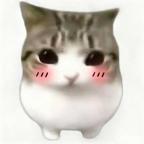 bl给我滚🙂头像