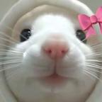 胜男头像
