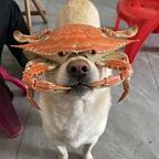 爱看剧的土勾头像