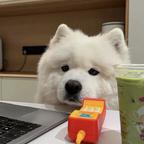 郁姮头像