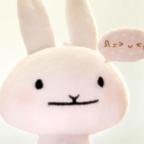 Fn⌄n头像
