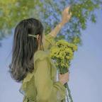 倾慕之夏头像