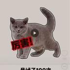 爱吃五香猪蹄的佐苍头像